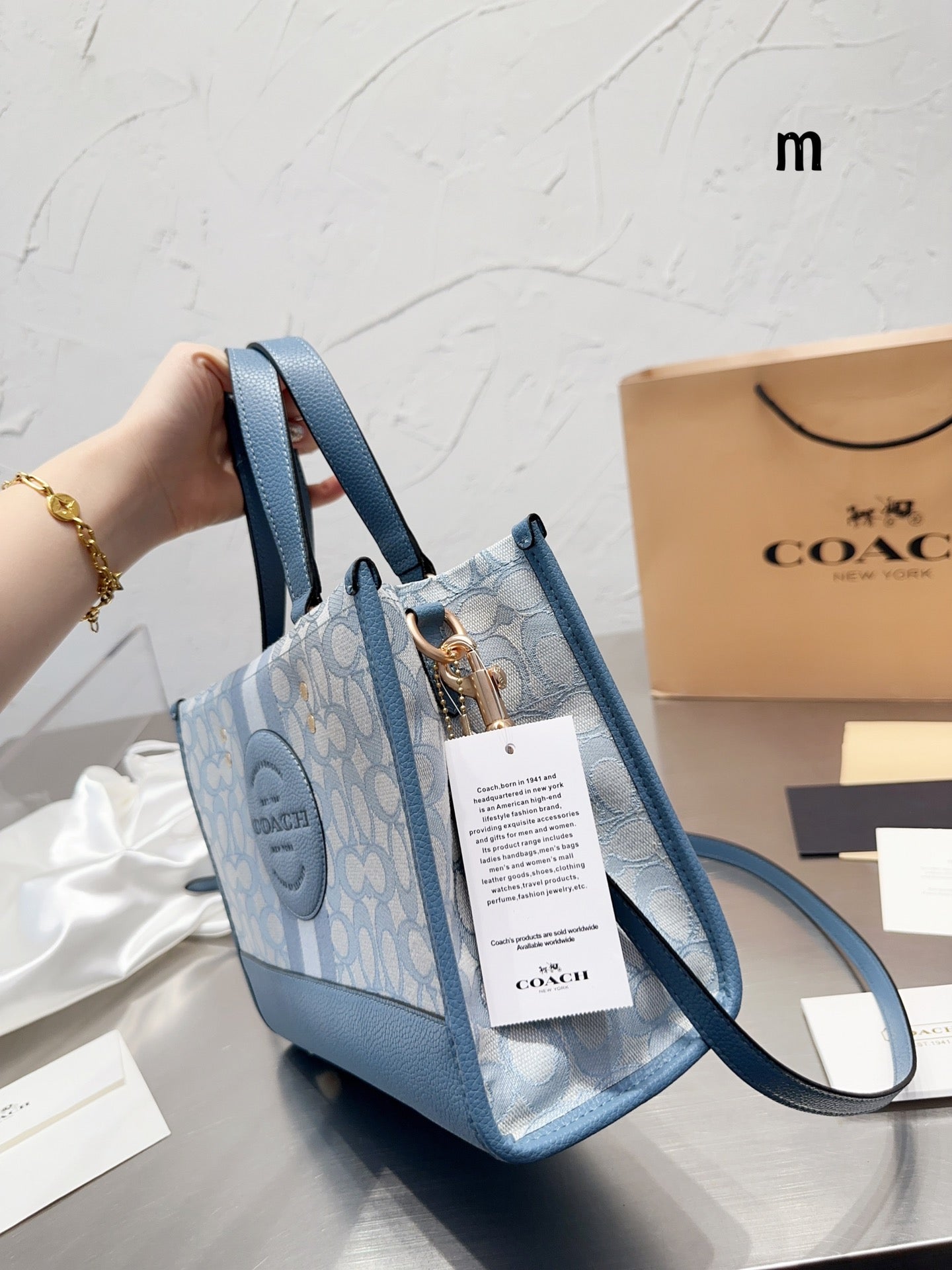 Co-BAG399-2