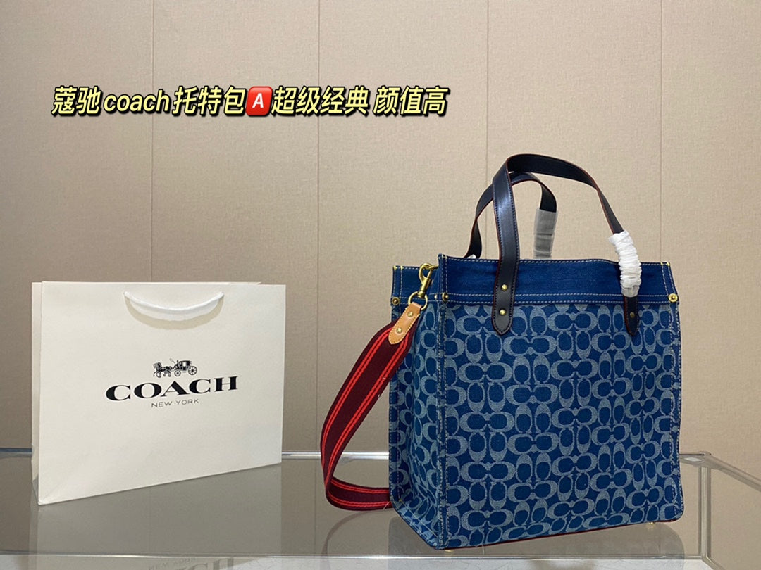 Co-BAG413