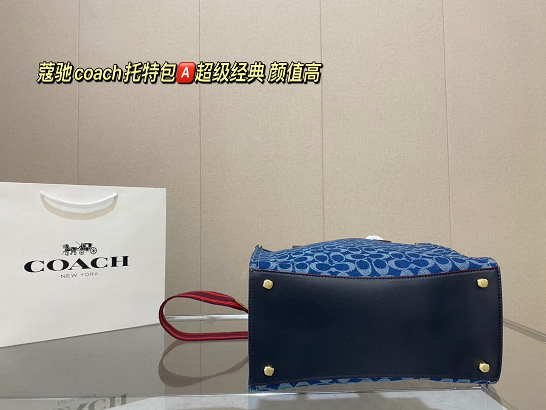 Co-BAG413