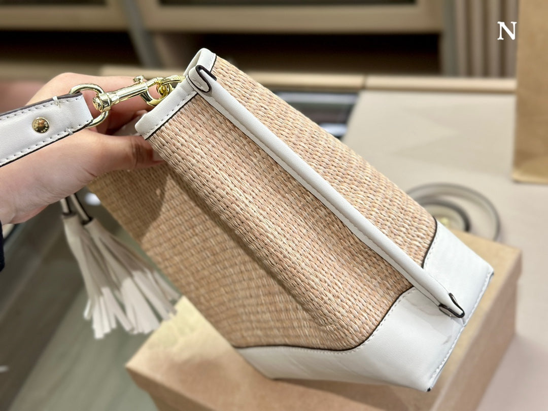 Co-BAG431-2