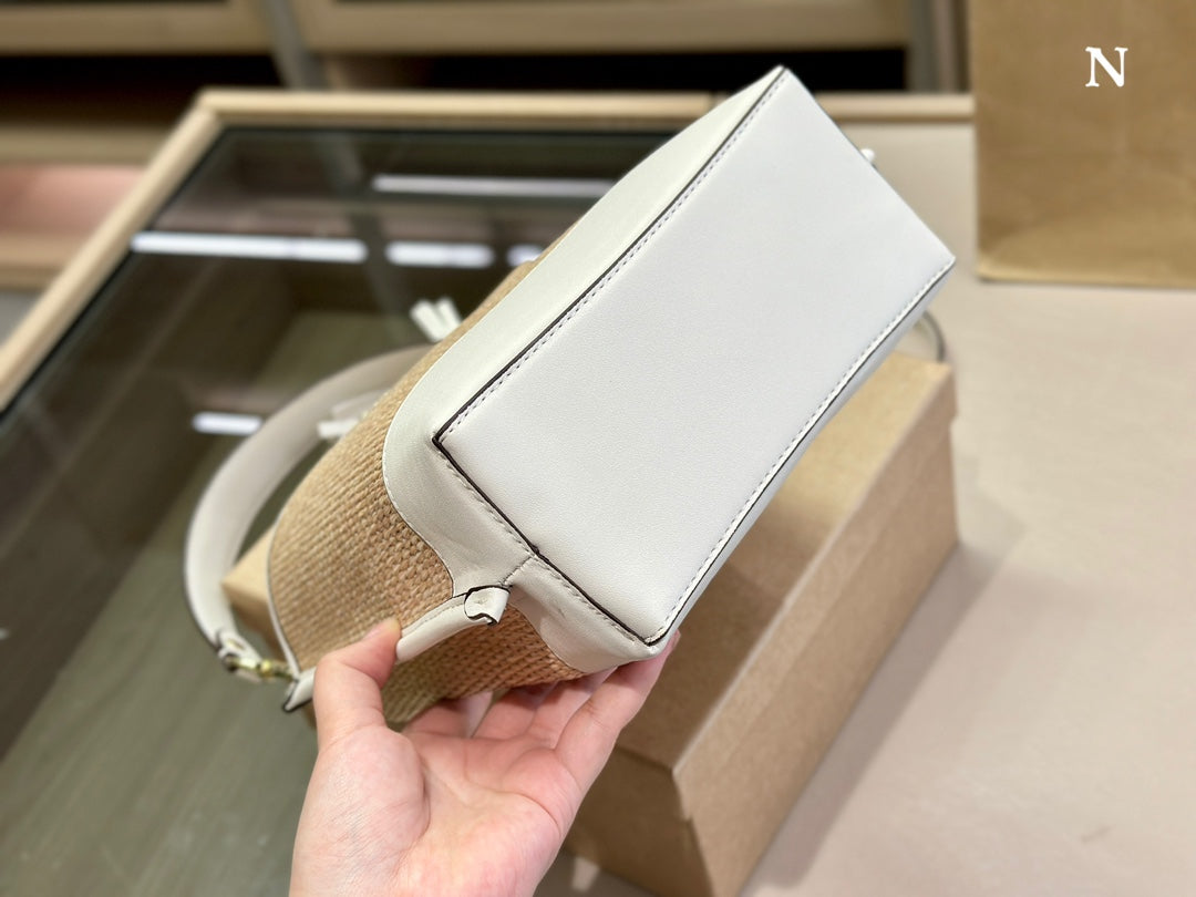 Co-BAG431-2