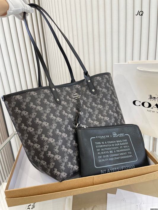 Co-BAG437