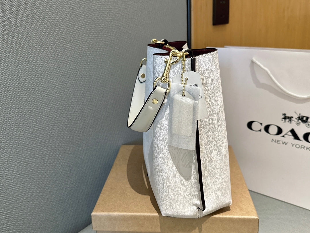 Co-BAG440