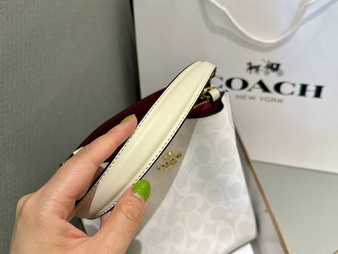 Co-BAG440