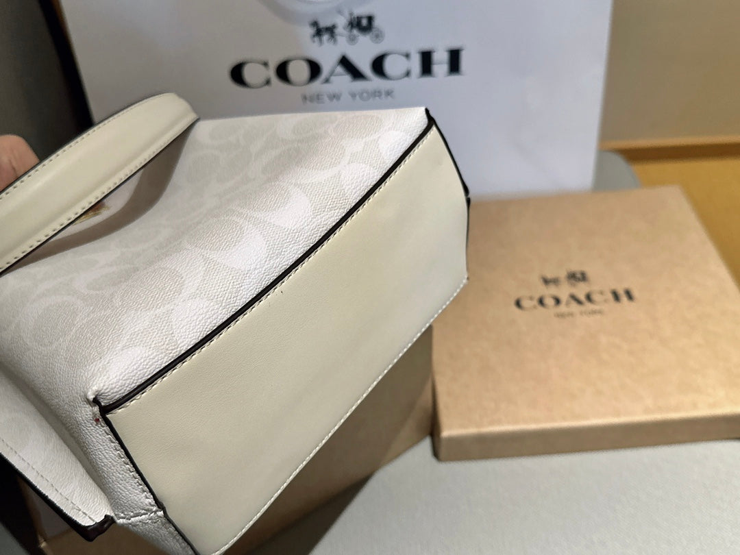 Co-BAG440