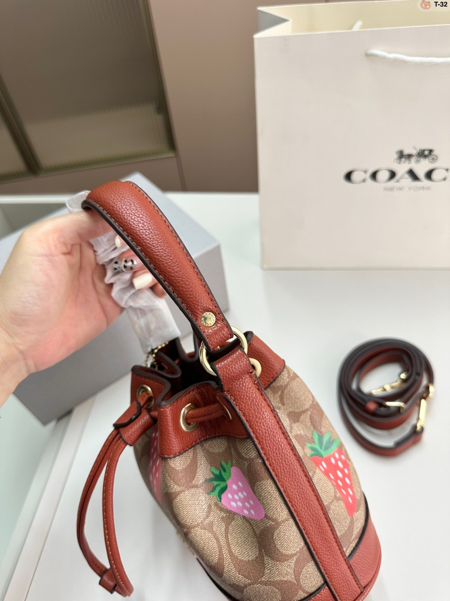 Co-BAG442