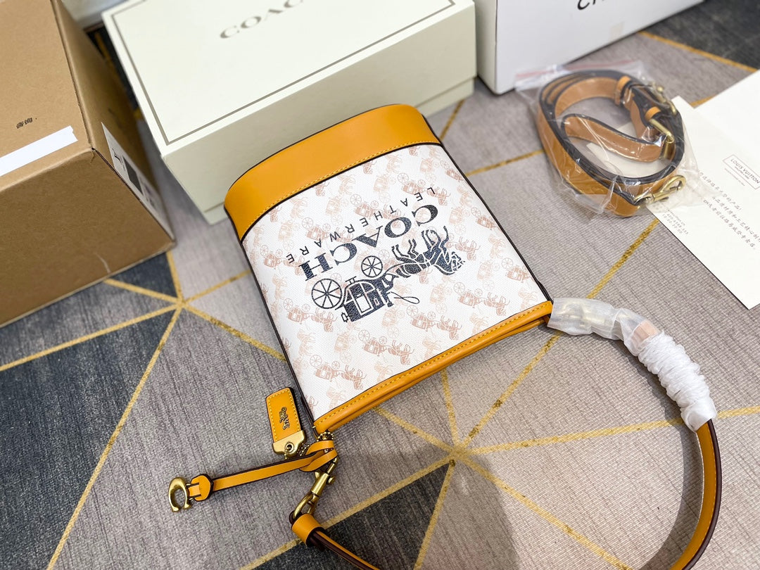 Co-BAG449-2