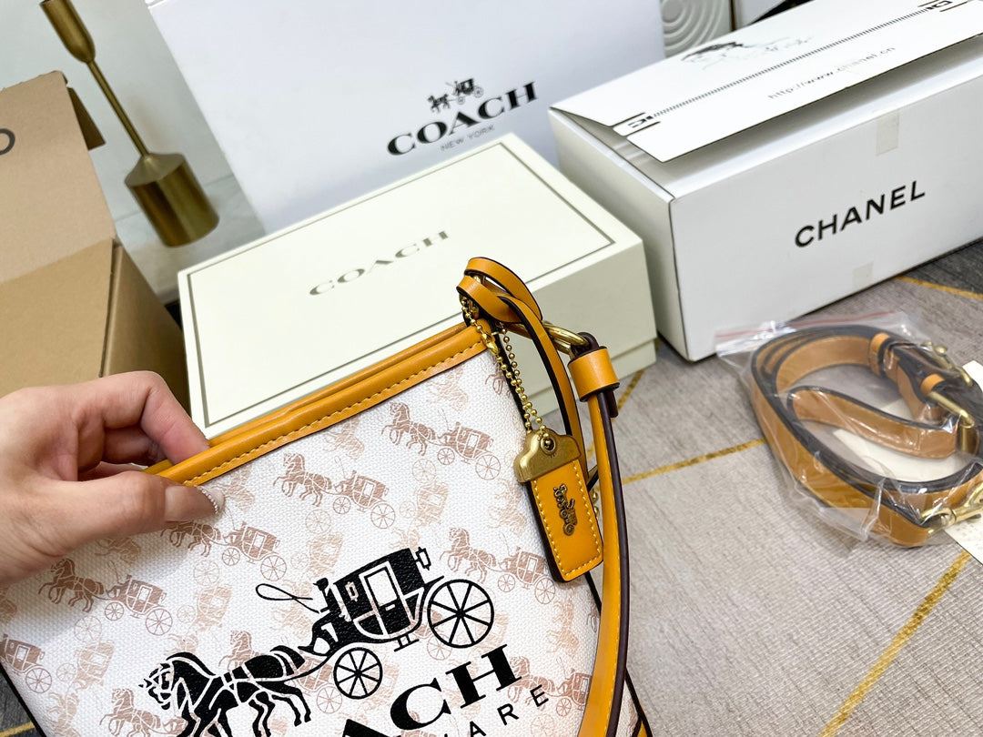 Co-BAG449-2