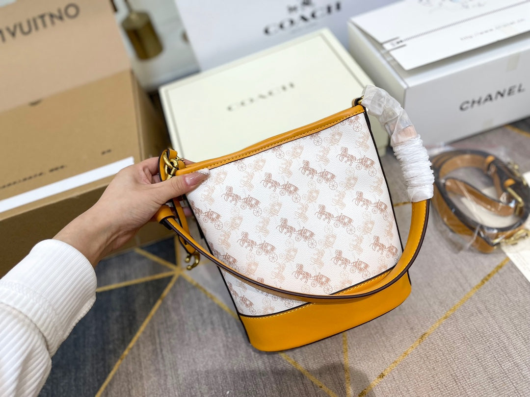 Co-BAG449-2