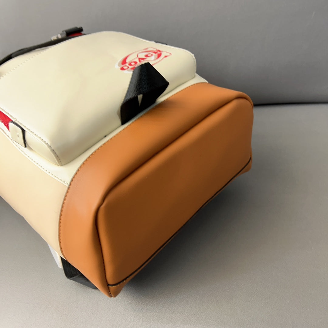 Co-BAG452-2