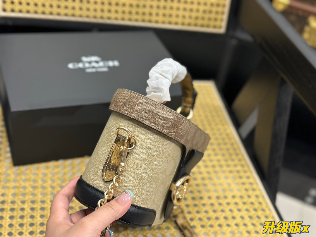 Co-BAG462