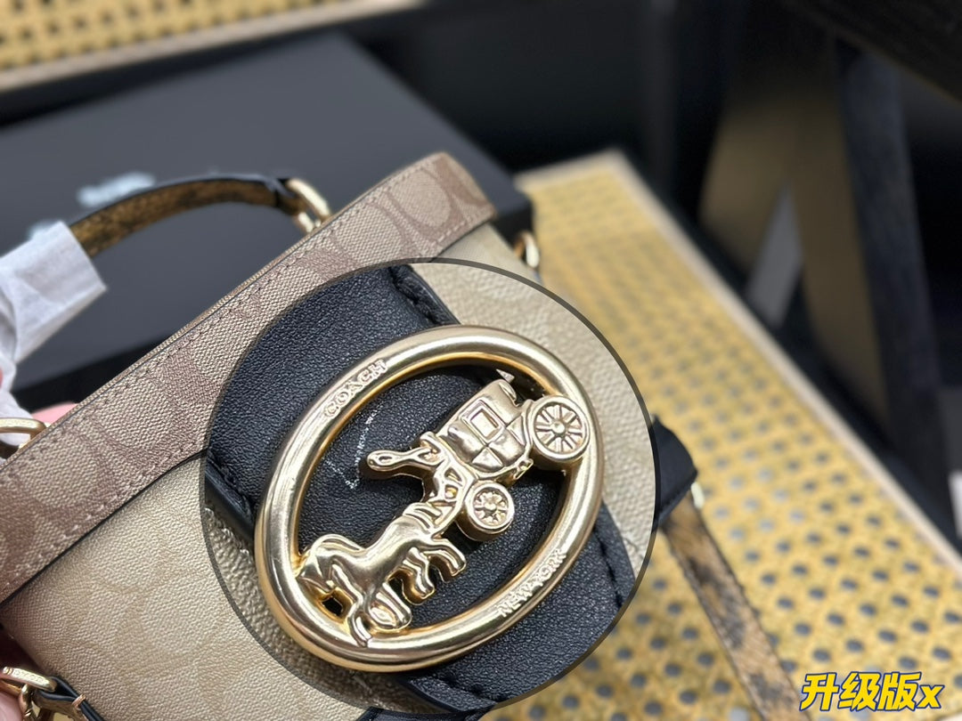Co-BAG462