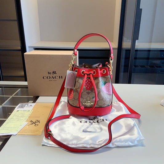 Co-BAG469-2