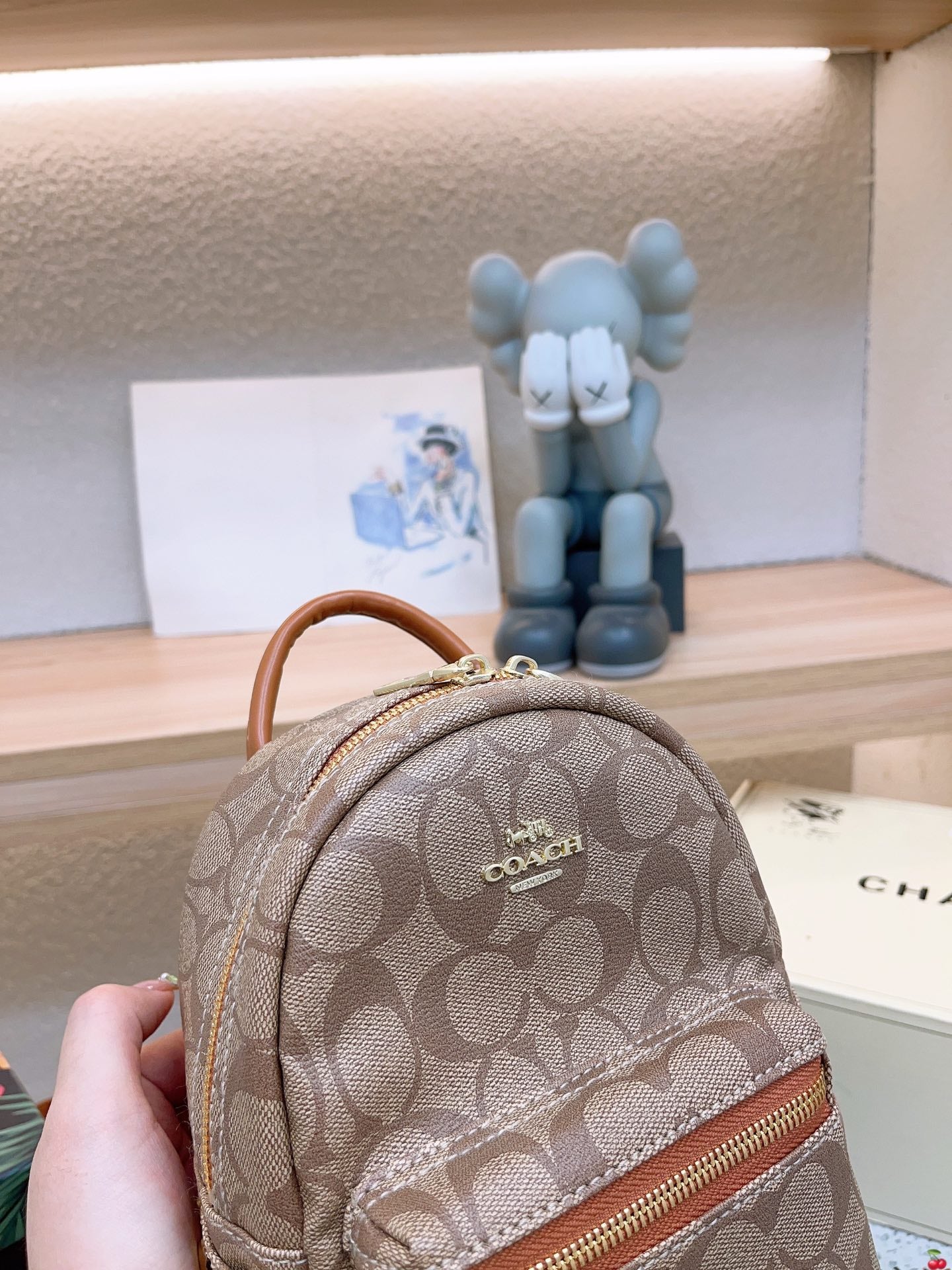 Co-BAG472