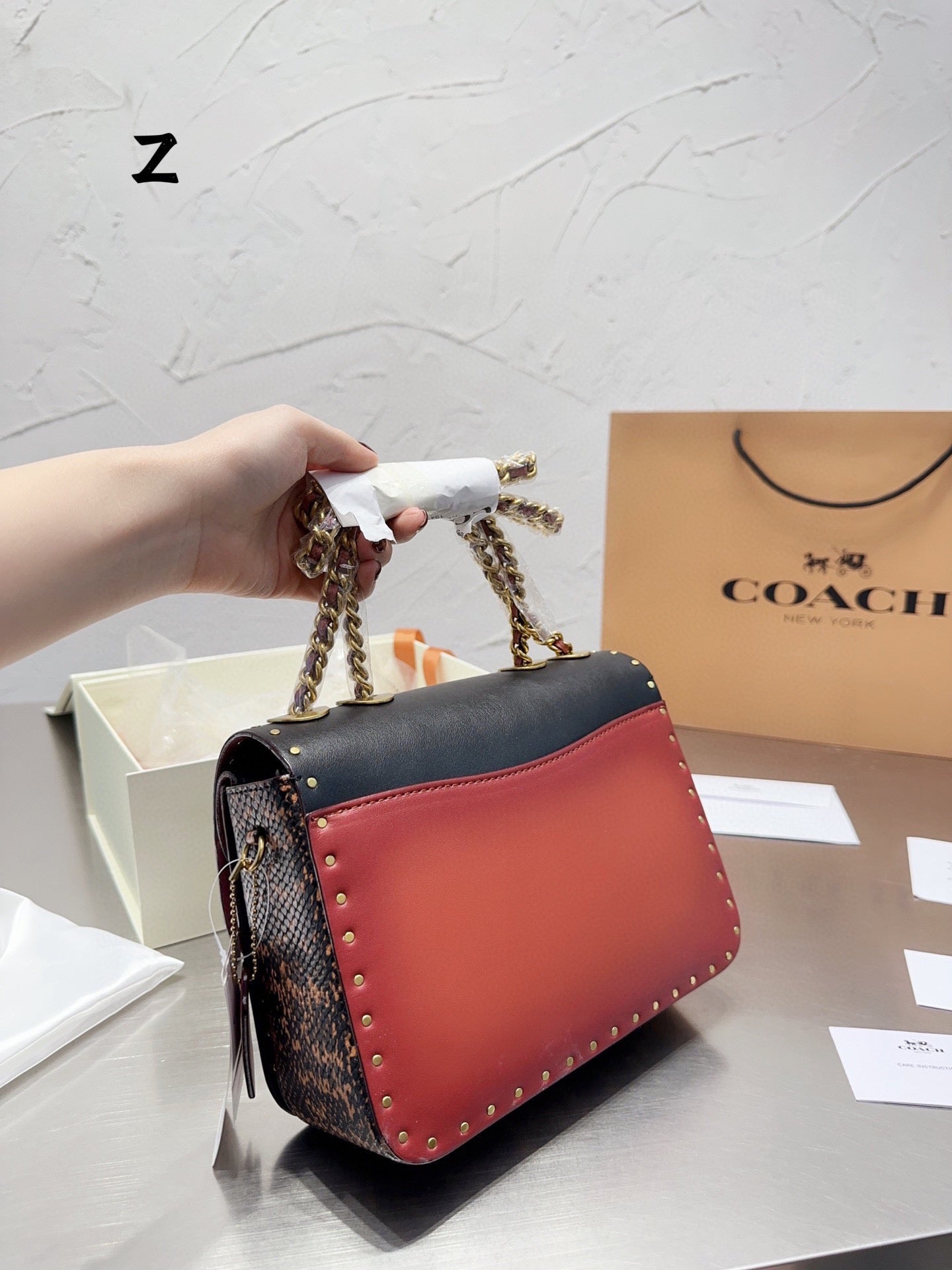 Co-BAG479