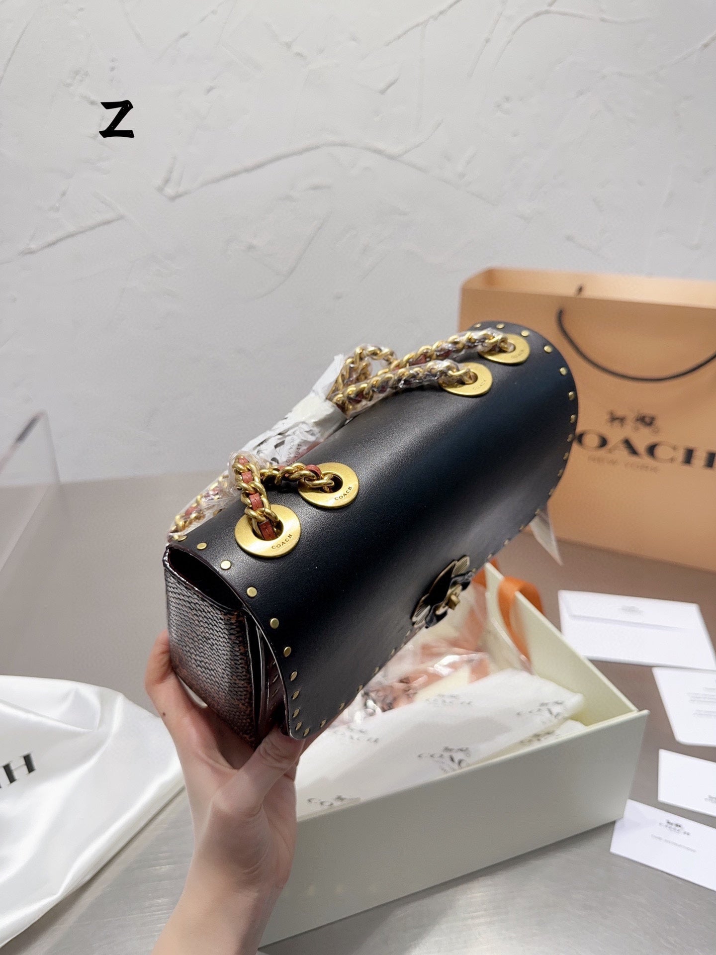 Co-BAG479