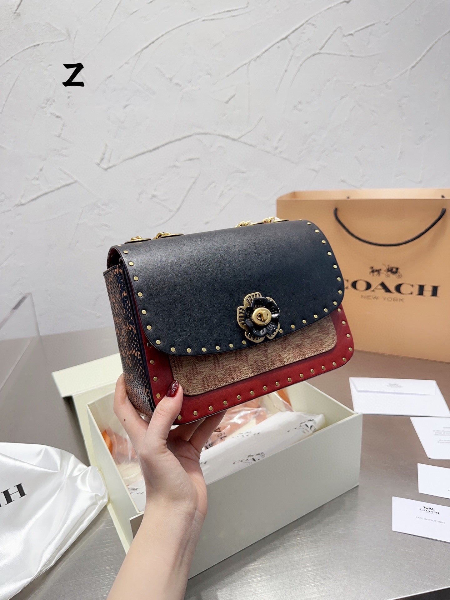 Co-BAG479