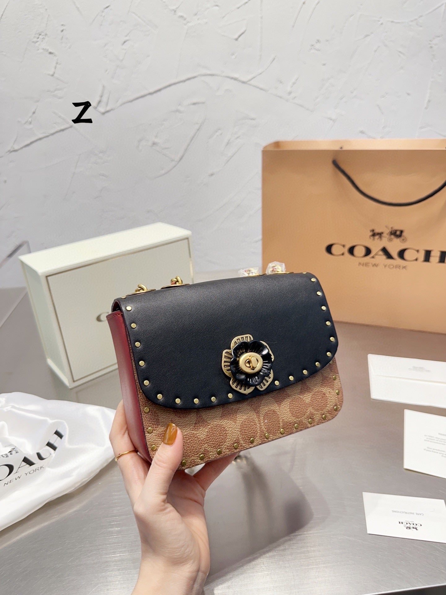 Co-BAG479-2
