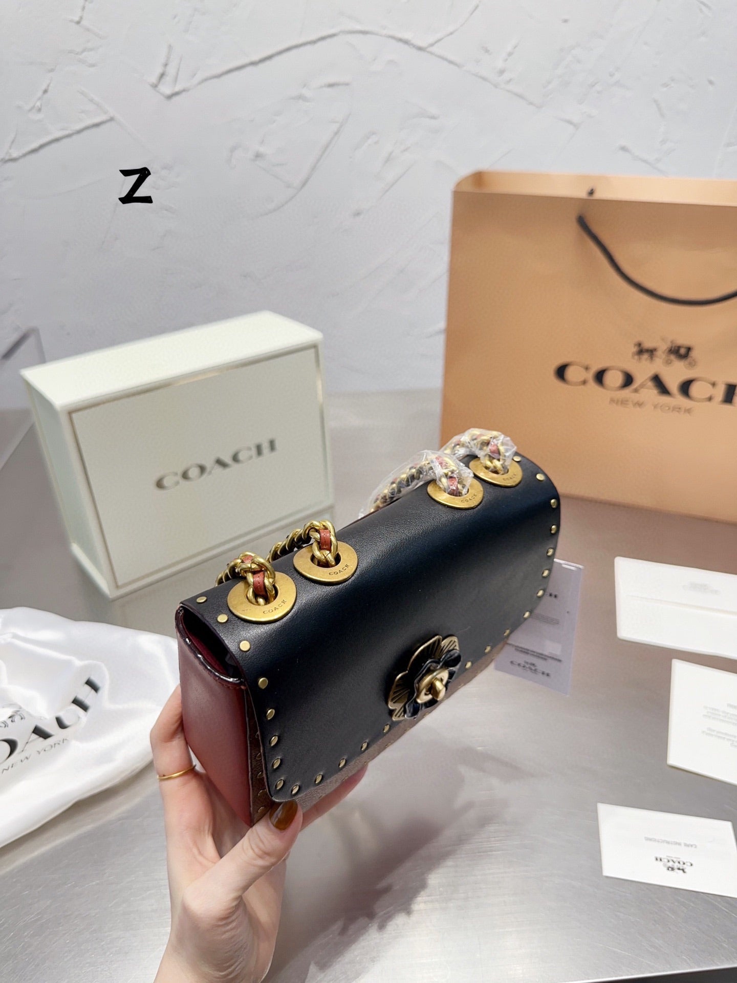 Co-BAG479-2