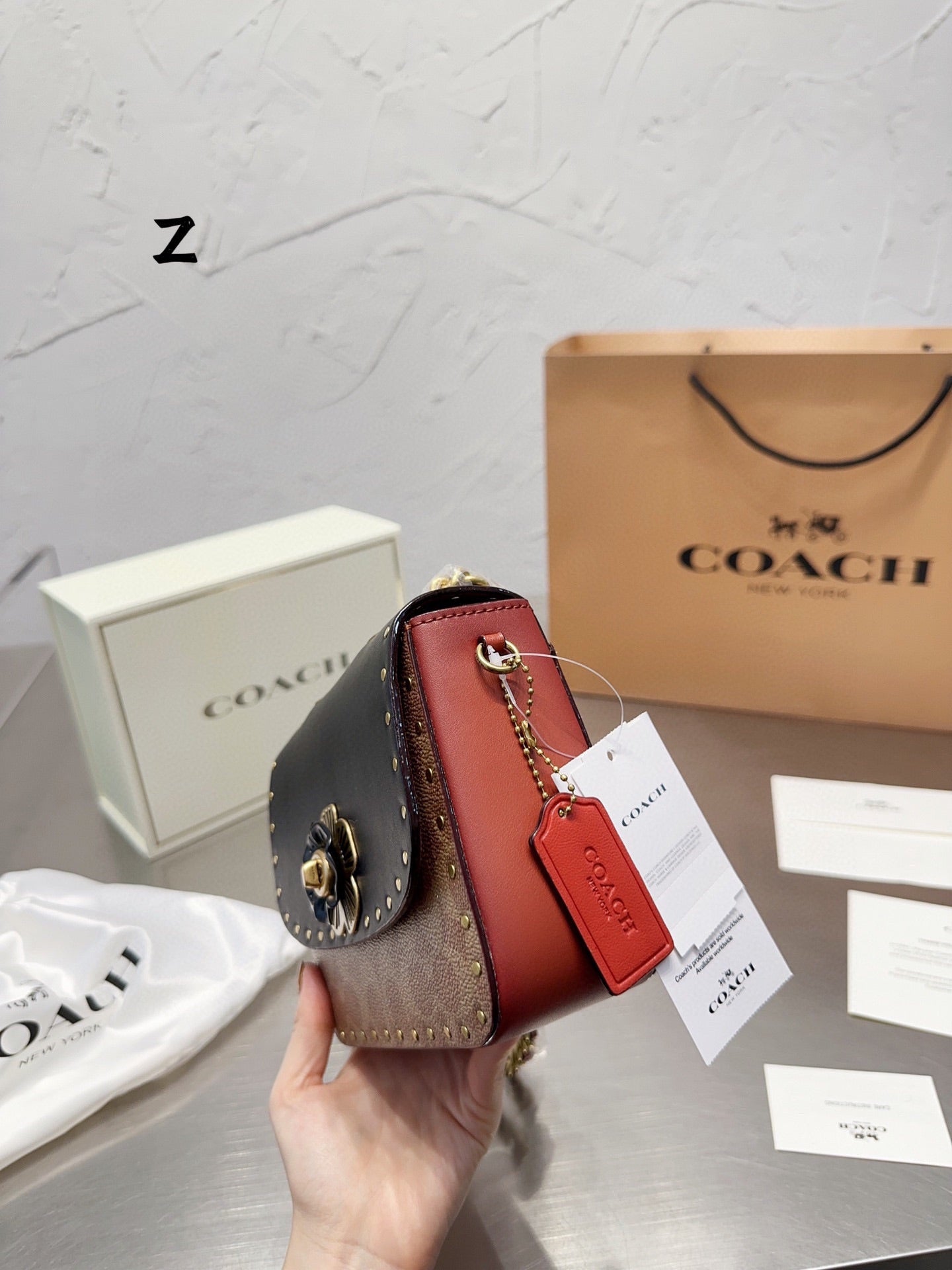 Co-BAG479-2