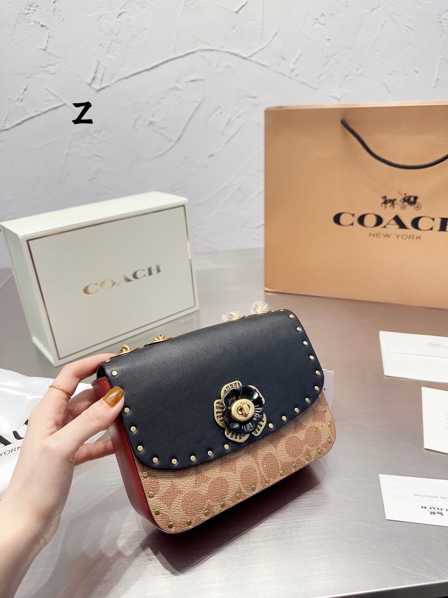 Co-BAG479-2