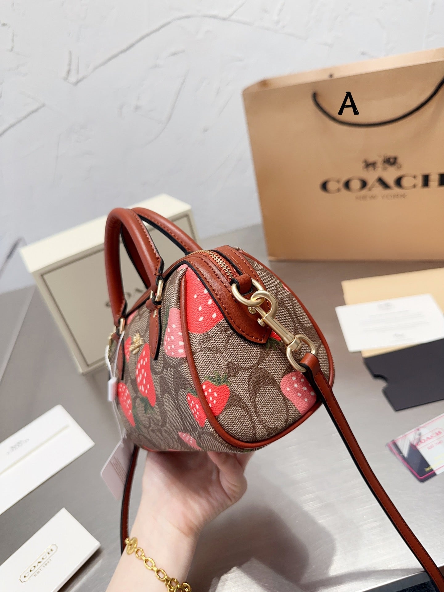 Co-BAG481