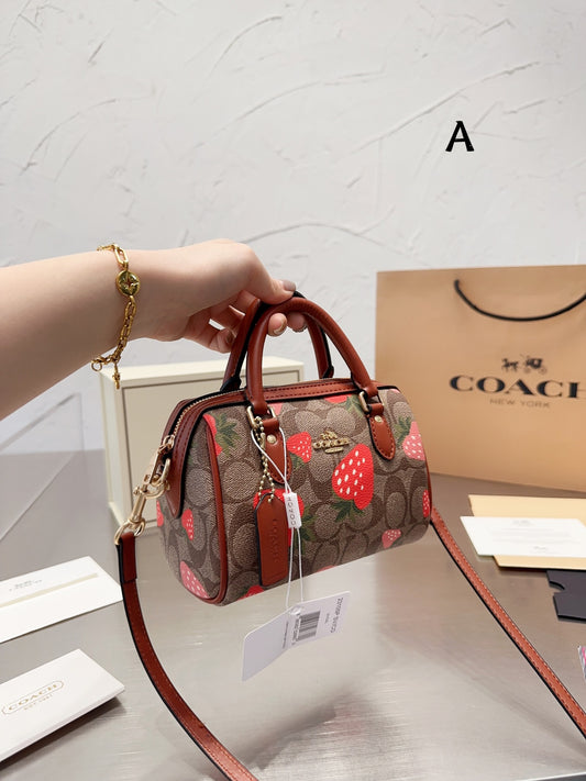 Co-BAG481