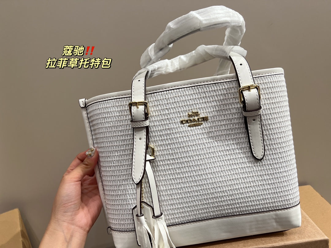 Co-BAG483