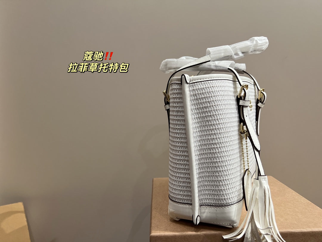 Co-BAG483