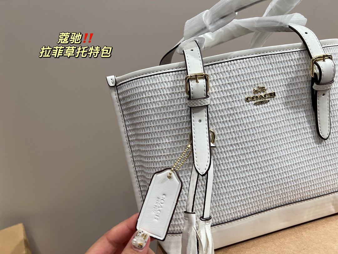 Co-BAG483