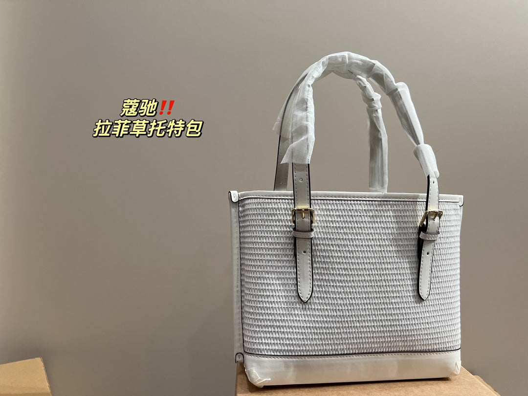 Co-BAG483