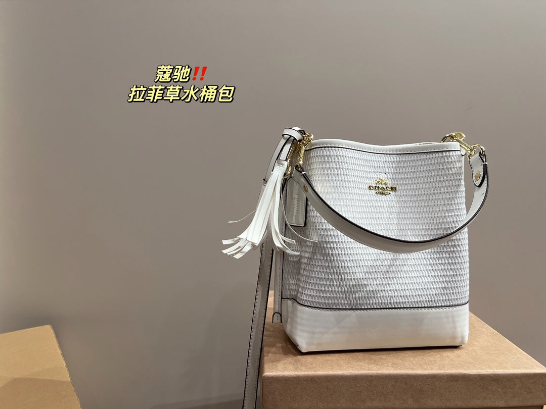 Co-BAG483-2