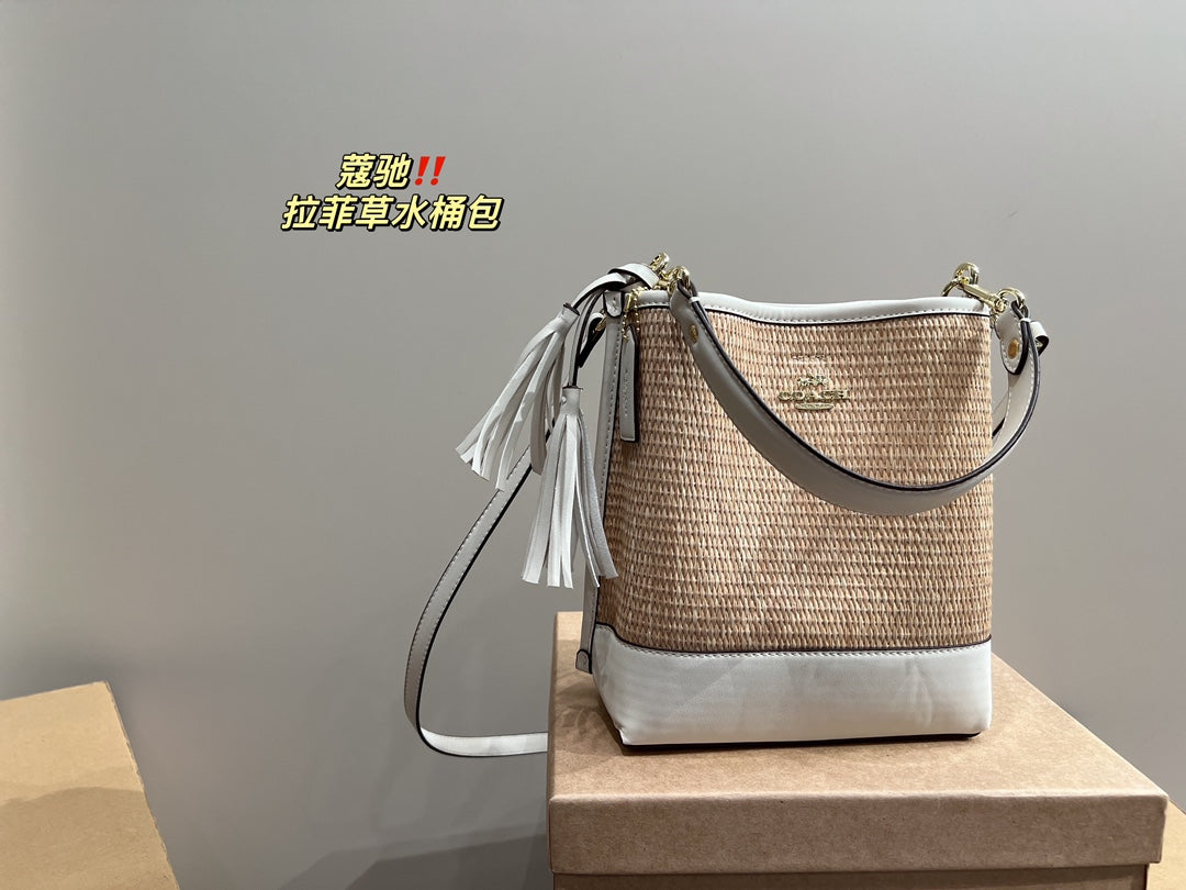 Co-BAG483-2