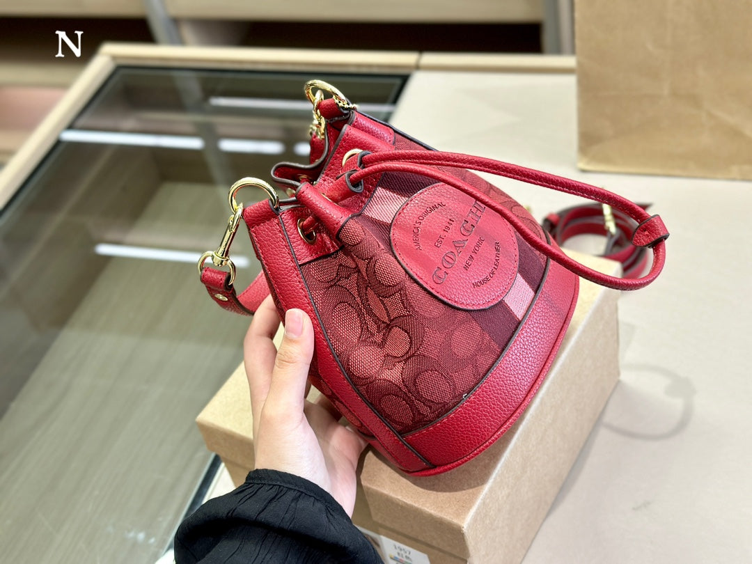 Co-BAG484