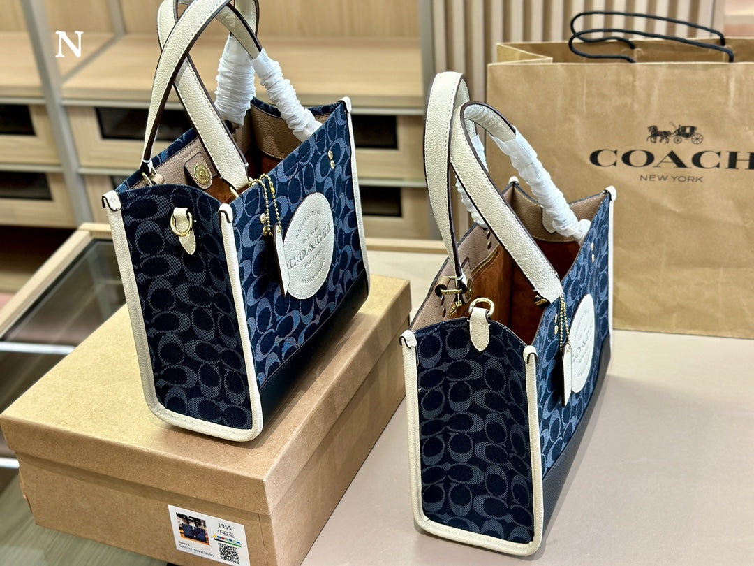 Co-BAG485
