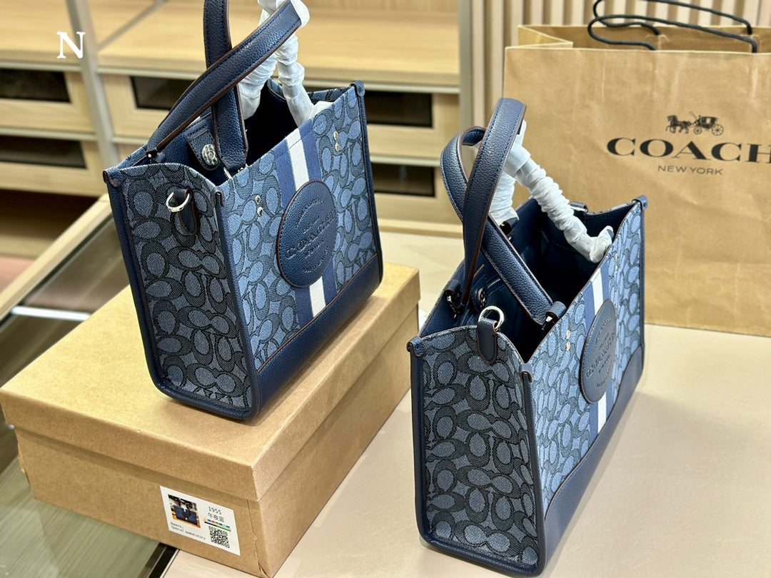Co-BAG485