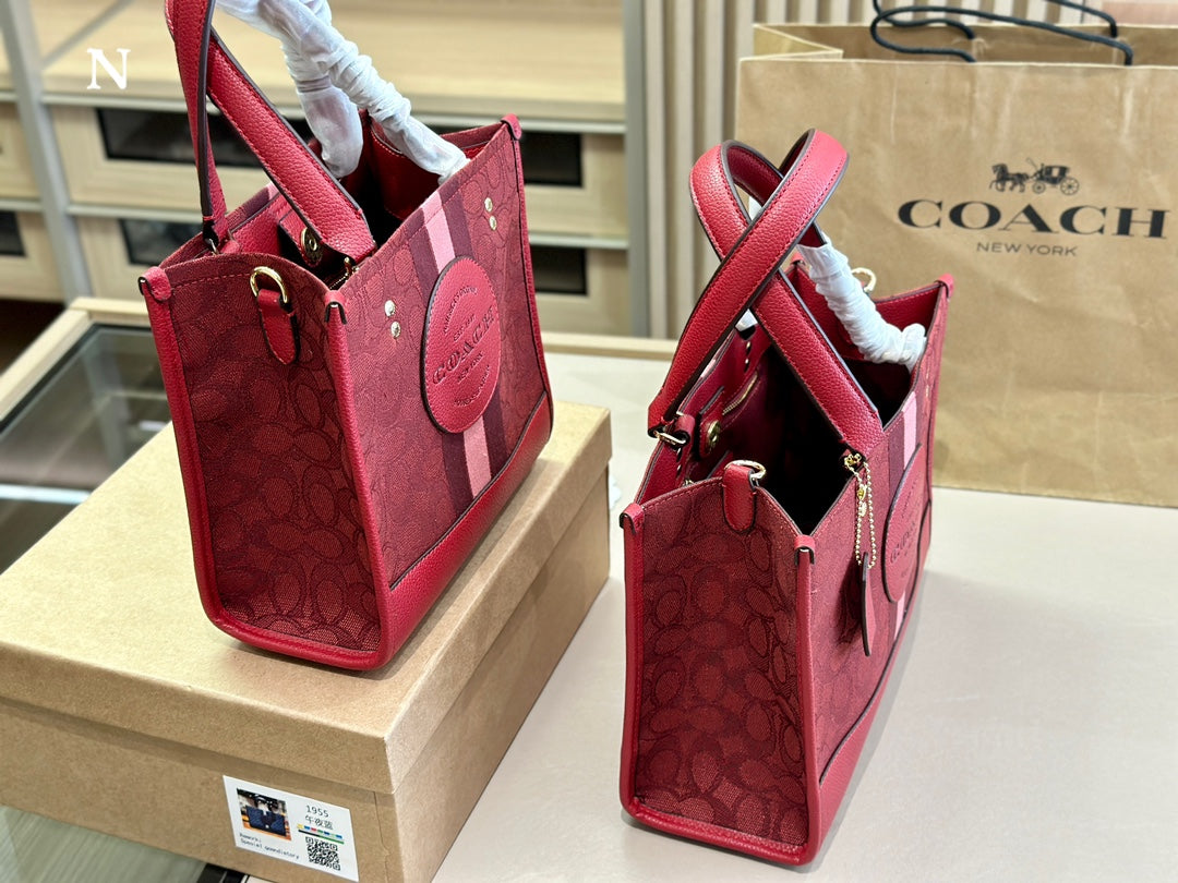 Co-BAG485