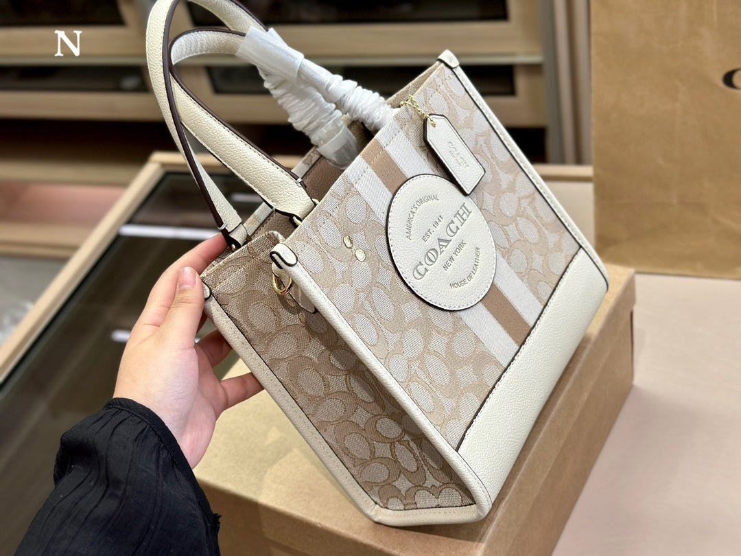 Co-BAG485