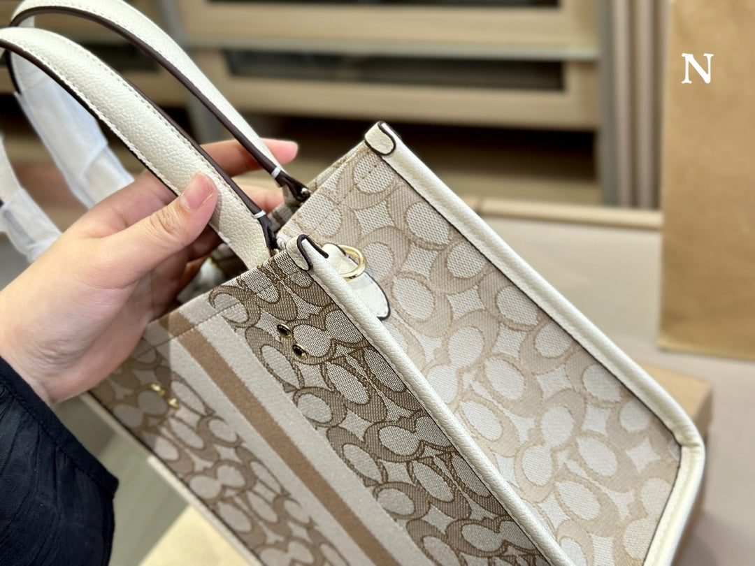 Co-BAG485
