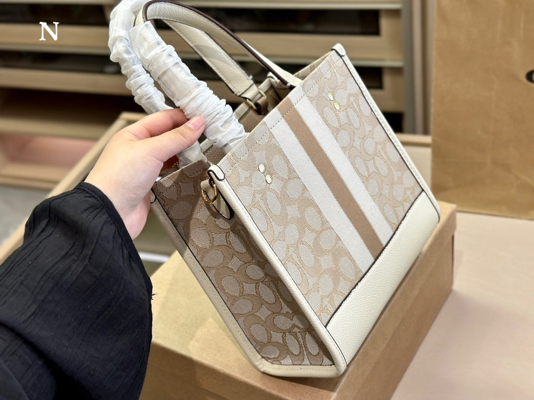 Co-BAG485