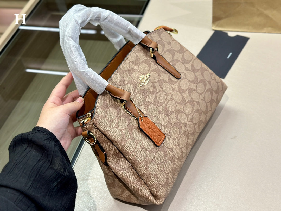 Co-BAG487-2