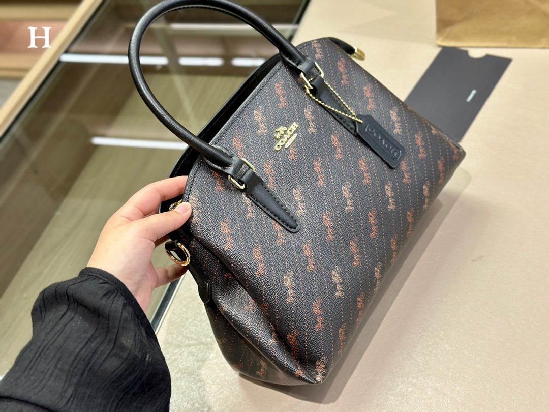 Co-BAG487-2