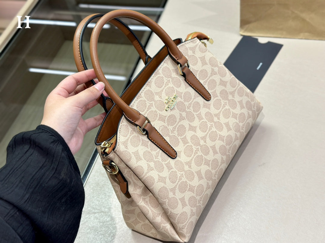 Co-BAG487-2