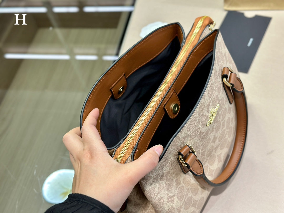 Co-BAG487-2