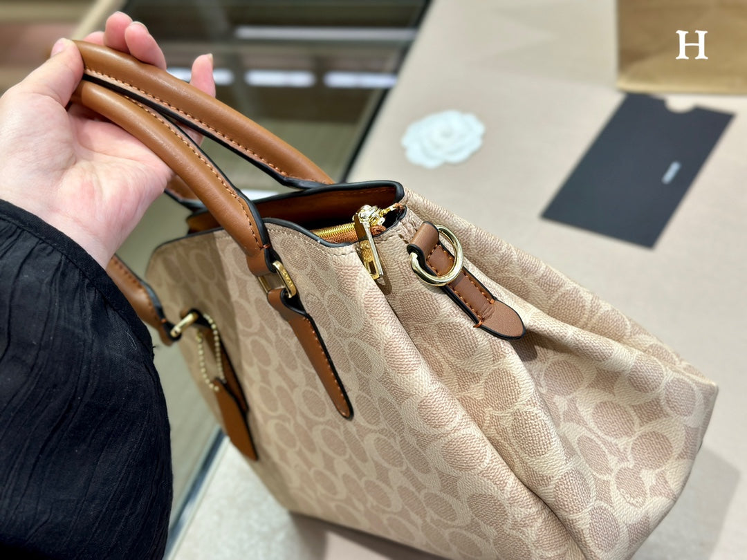 Co-BAG487-2