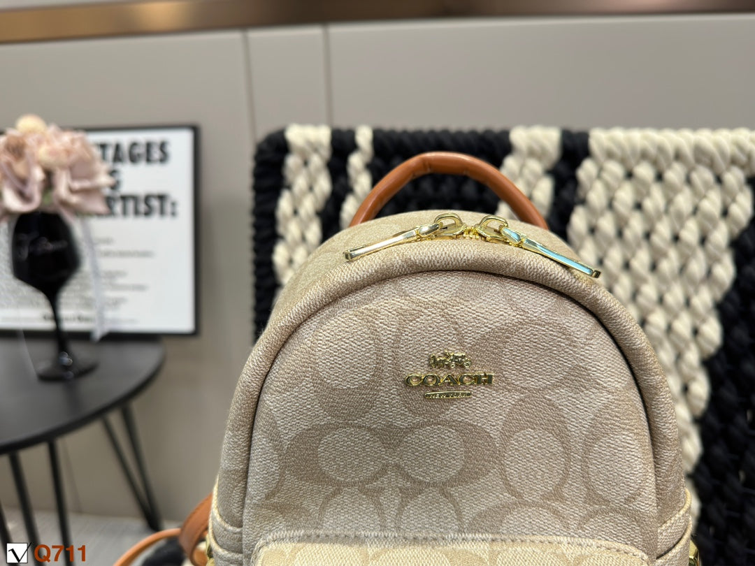 Co-BAG497