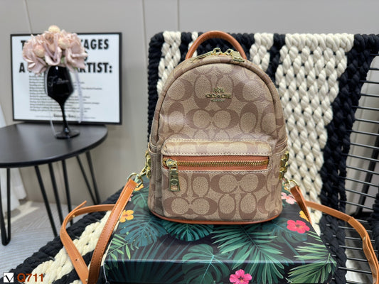 Co-BAG497