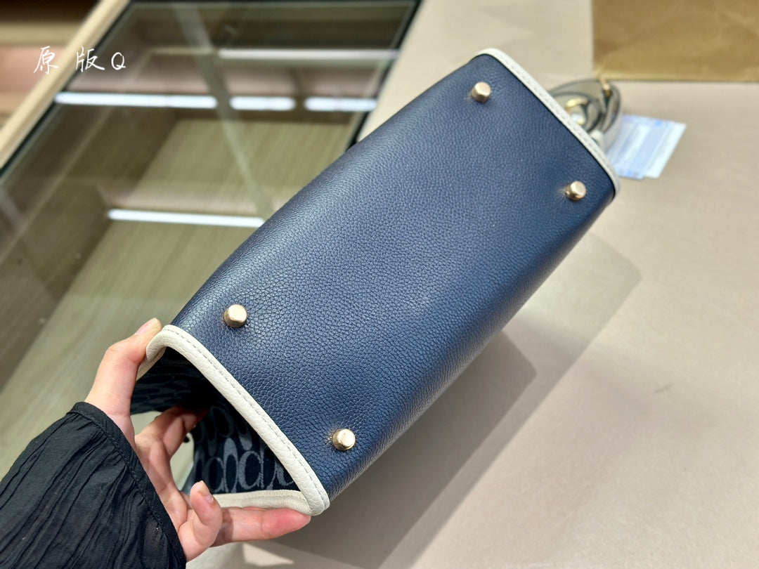 Co-BAG507