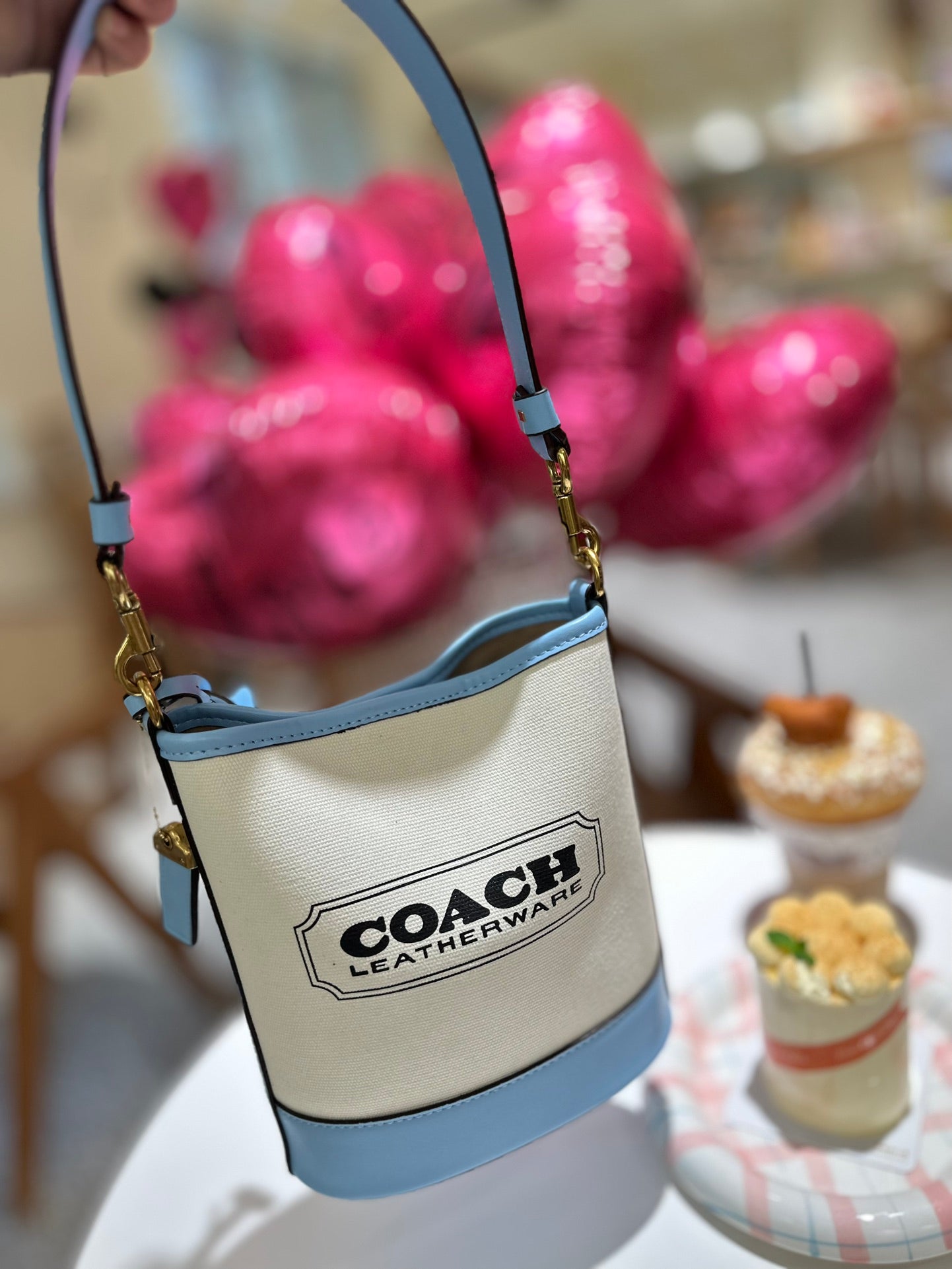 Co-BAG511