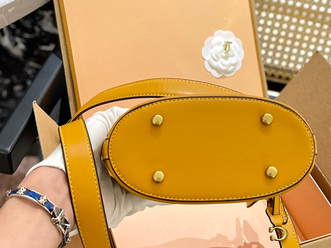 Co-BAG511-2